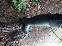 20250712_191617.jpg