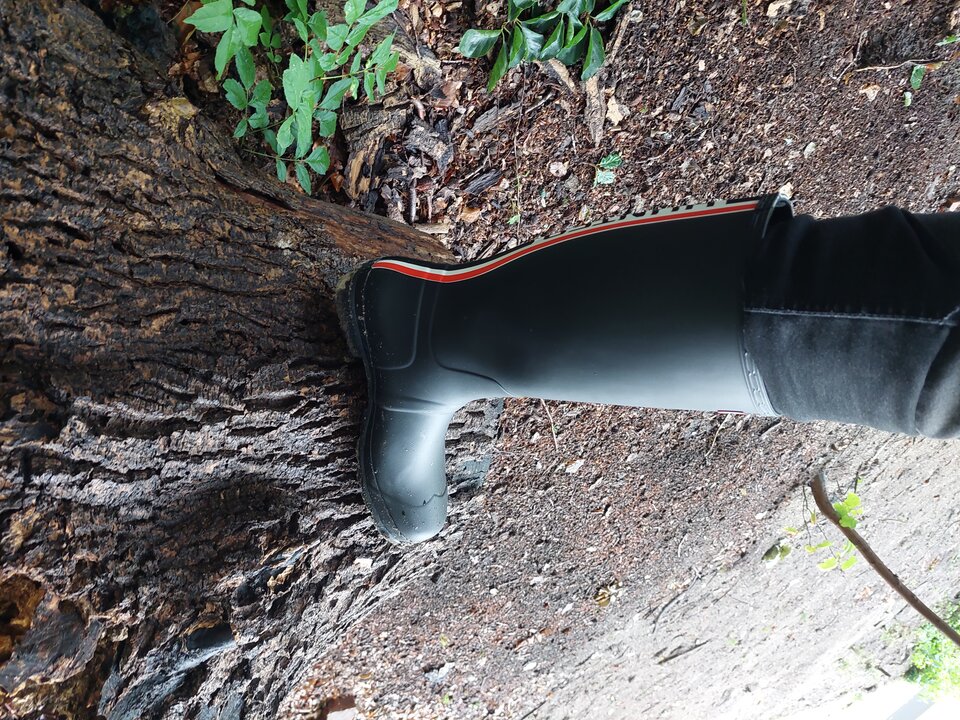 20250712_191617.jpg - Rubber_gloves