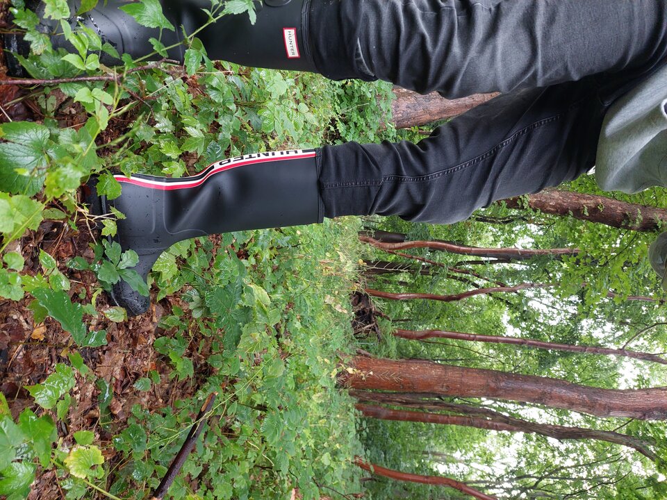 20250712_191948.jpg - Rubber_gloves