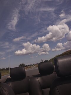 Znajdzie się chętna na przejażdżkę.