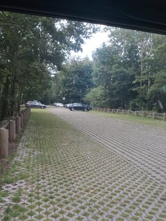 Deszczowy Starganiec