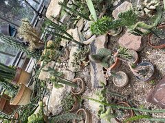 IMG_6806.jpeg