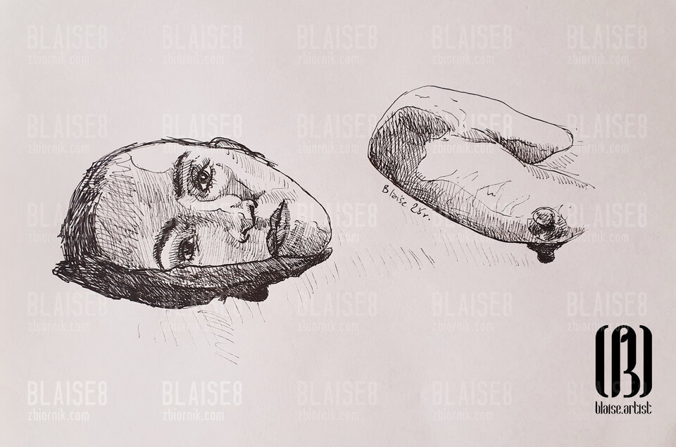 Art. No. 358 - blaise8