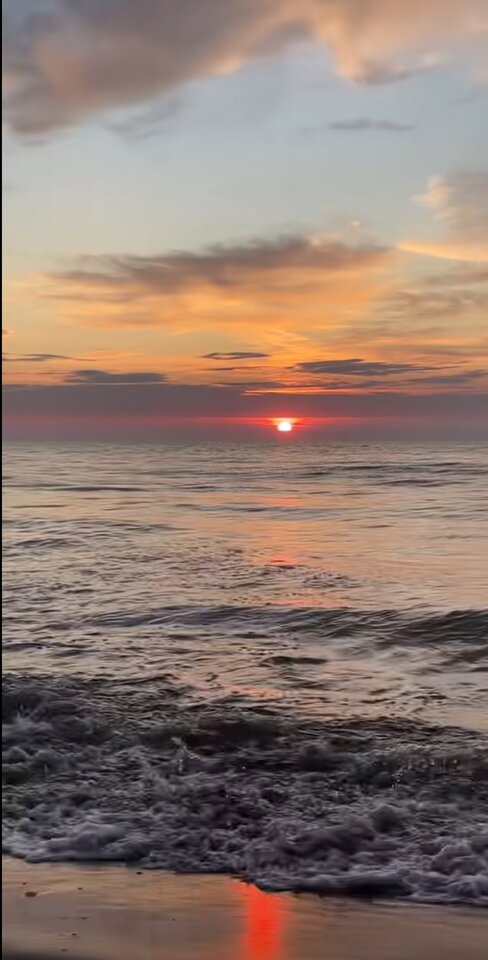 1000080302.jpg - Jony19881