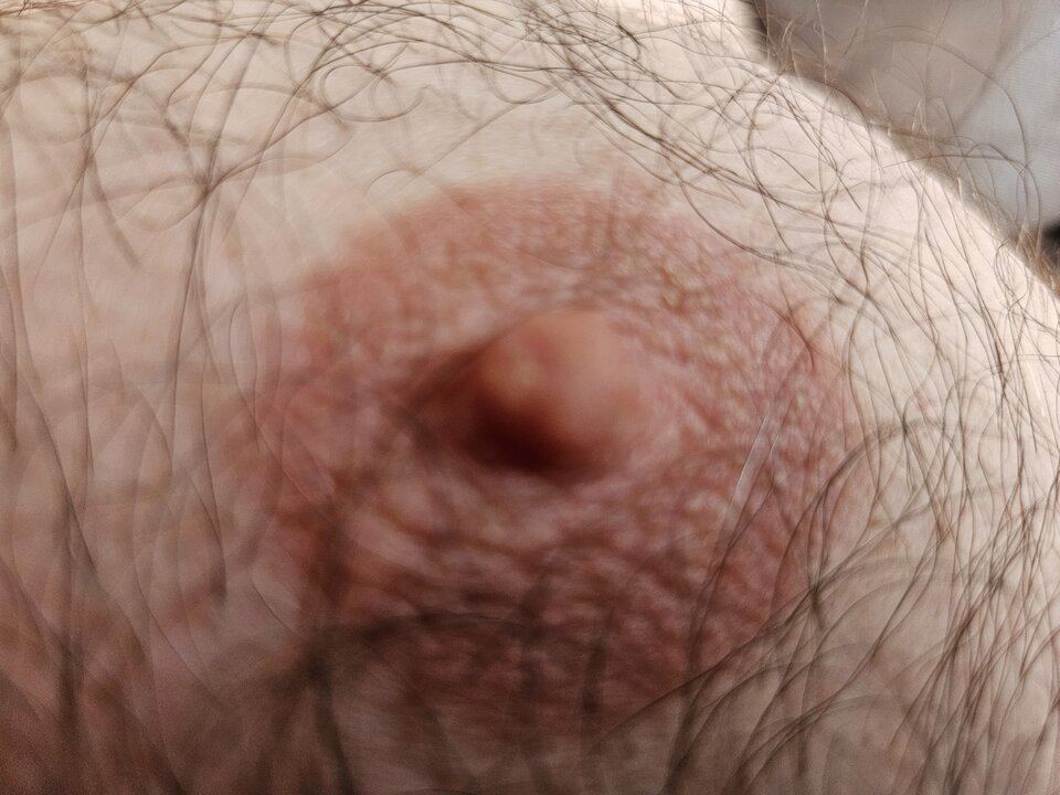 1000009250.jpg - zenekmaly