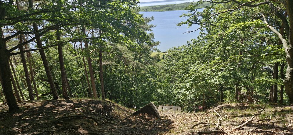 1000013511.jpg - Parka89211