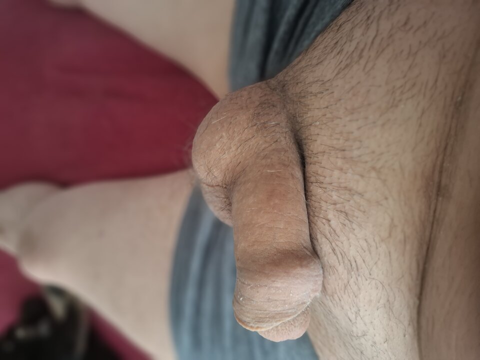 1000000838.jpg - Namietni2109