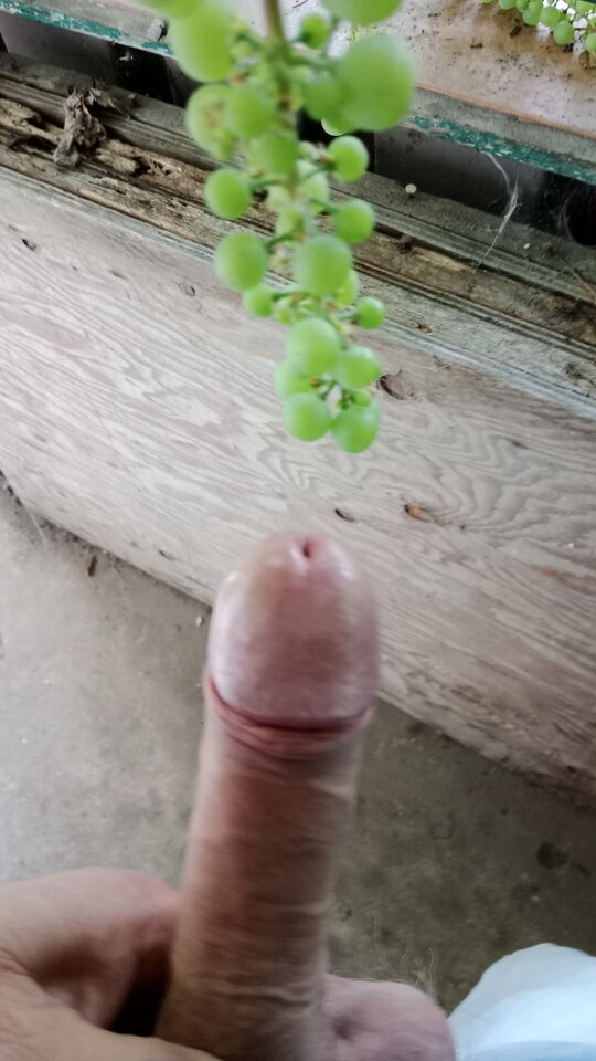 17540628411126050714640724849125.jpg - eroteooo