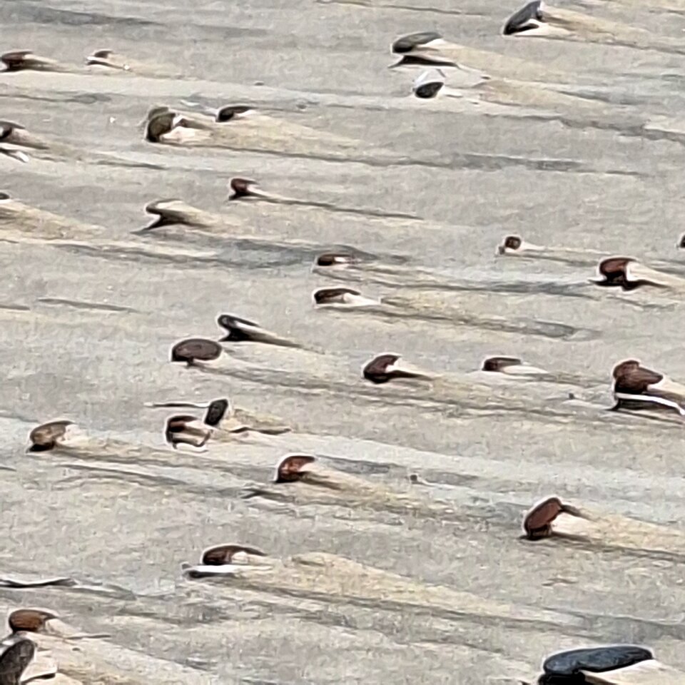 1000028363.jpg - Argument73