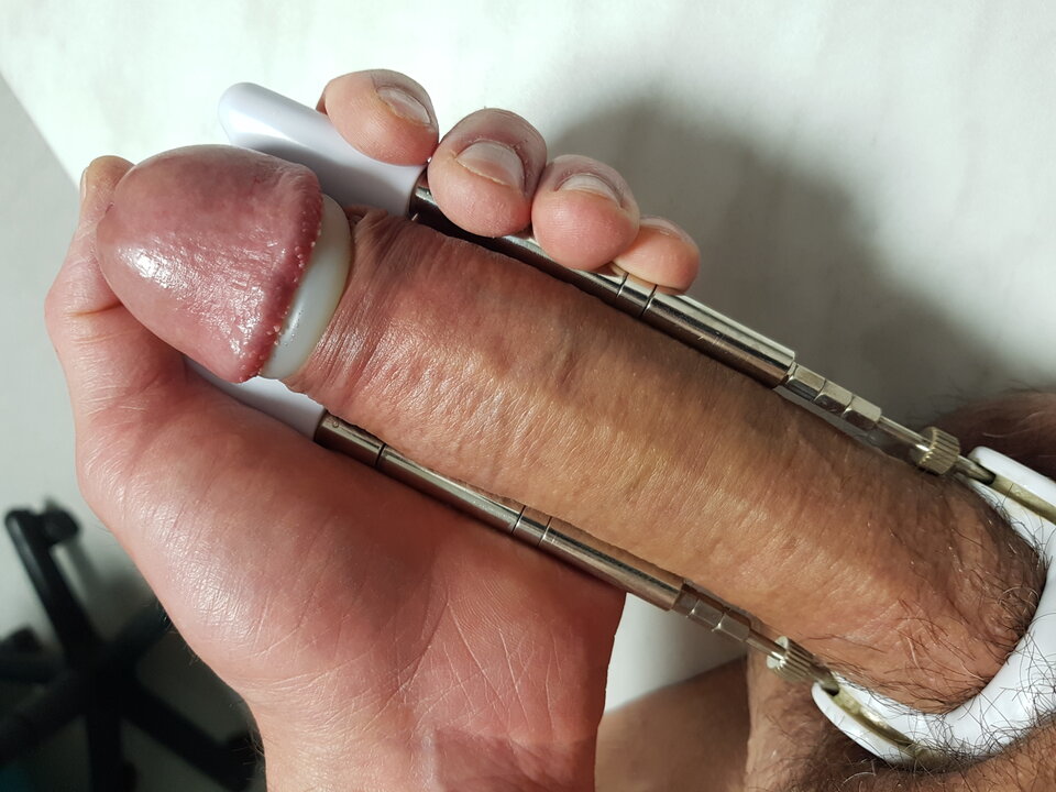 20250802_012727.jpg - Whitelittlecock