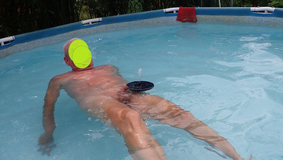 W słoneczku. - Morsy_dwa