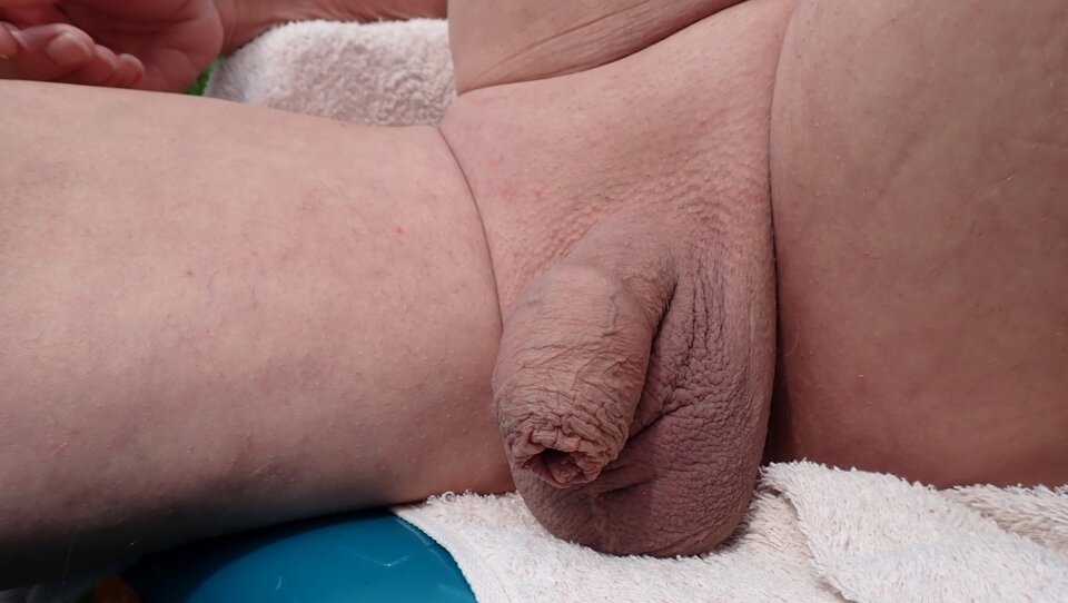 W słoneczku. - Morsy_dwa