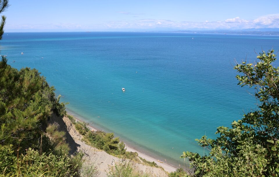 1000030776.jpg - traktro0001