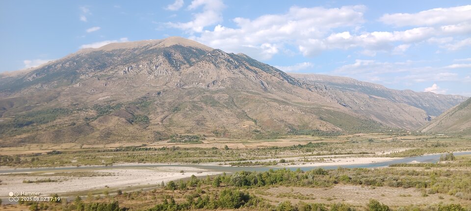 IMG_20250802_171920_551.jpg - 15151515