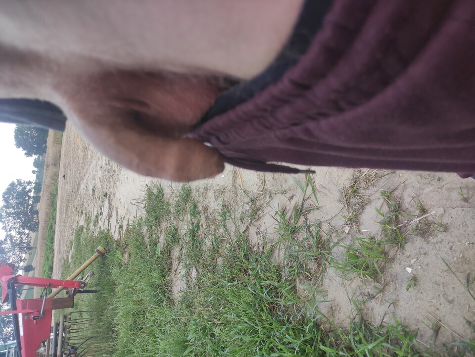 IMG_20250803_062015.jpg - Adamadam1978
