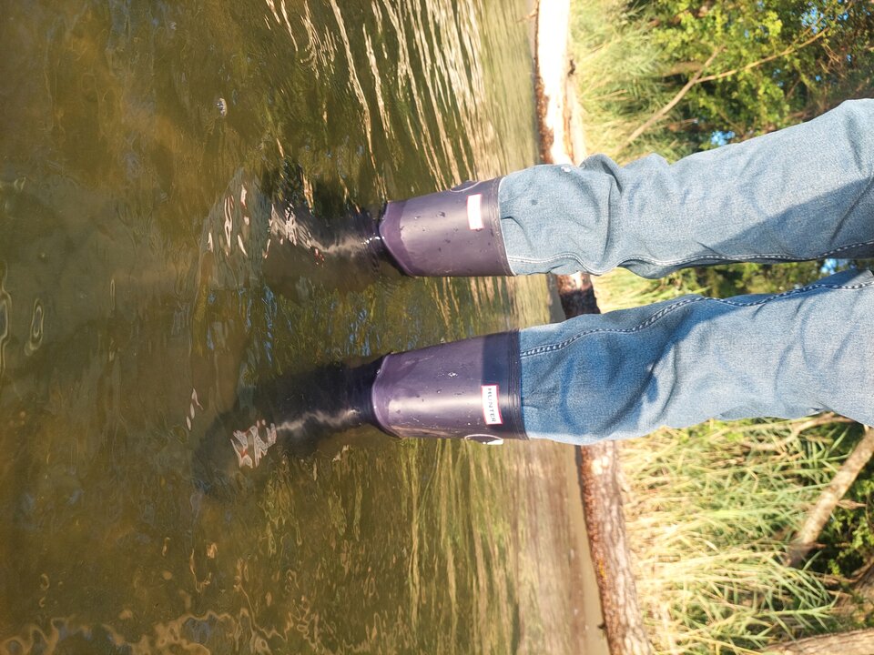 20250803_062151.jpg - Rubber_gloves