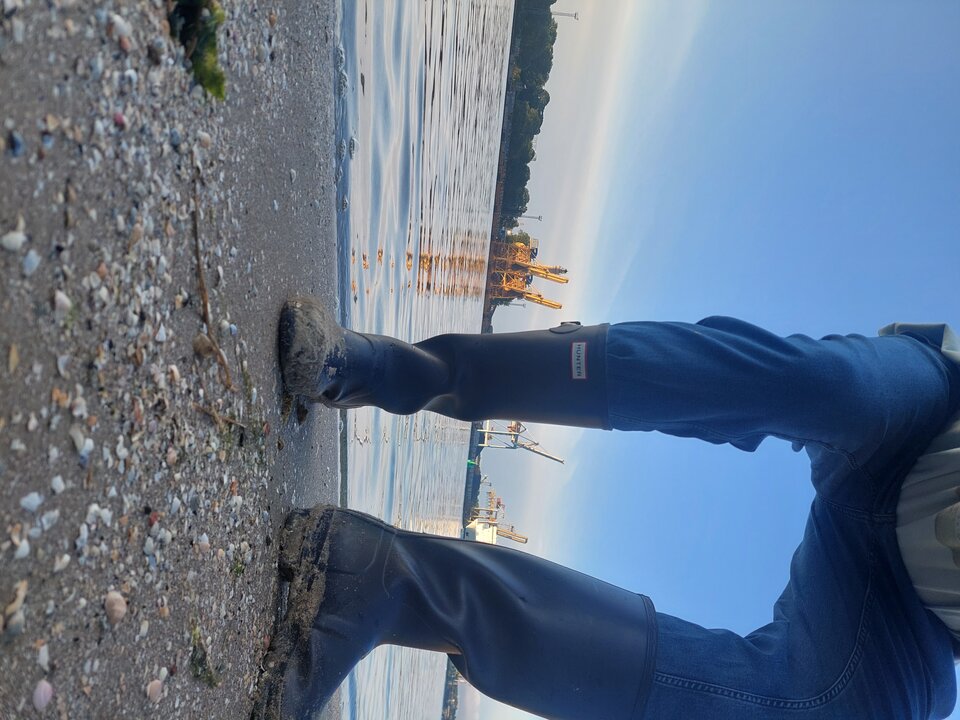 20250803_061750.jpg - Rubber_gloves