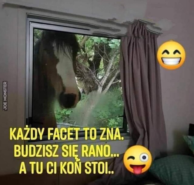 FB_IMG_1753991558431.jpg - majo82