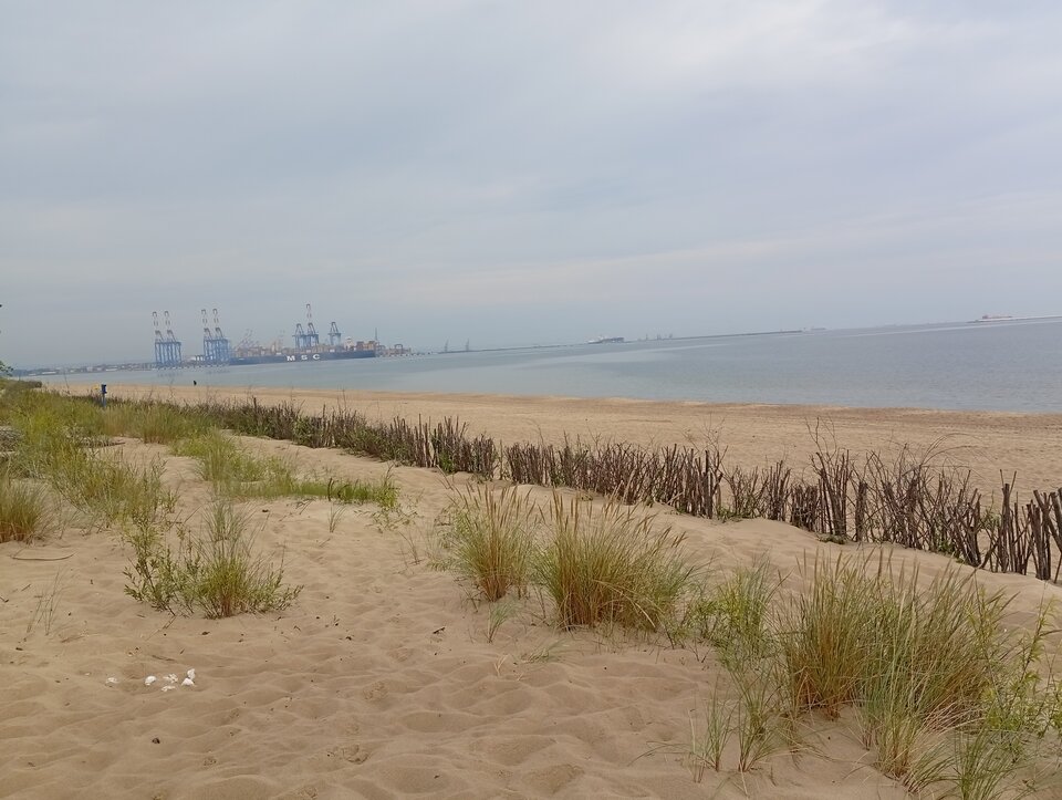 1000005342.jpg - ciekawy0753