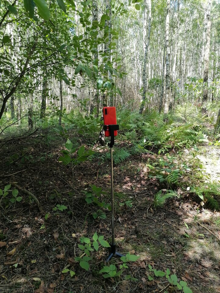 IMG_20250803_110524.jpg - YOtwartyy