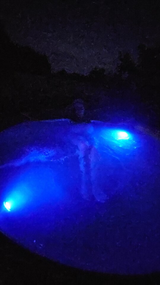 1000008937.jpg - wyluzowani7172