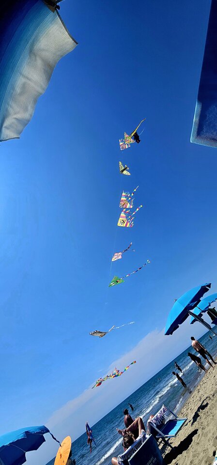 1000029969.jpg - parrapod