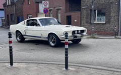 IMG_5518.jpeg
