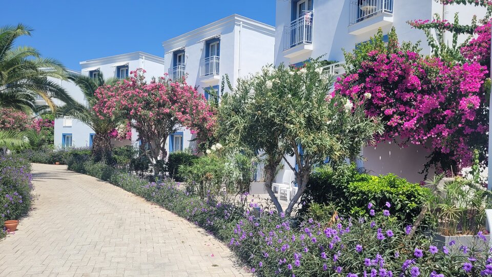 20240814_133752.jpg - Marnow9066