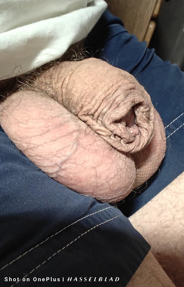 1000016182.jpg - jogan