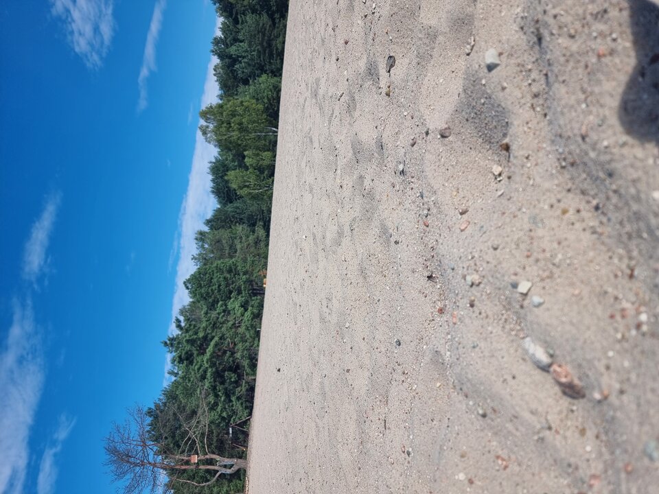 20250805_095118.jpg - Tomekdlapan