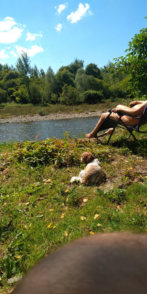 IMG_20250805_141601.jpg - STORCK