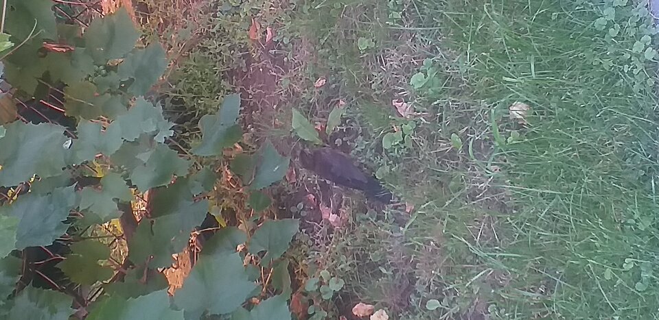 20250805_082949.jpg - BP74