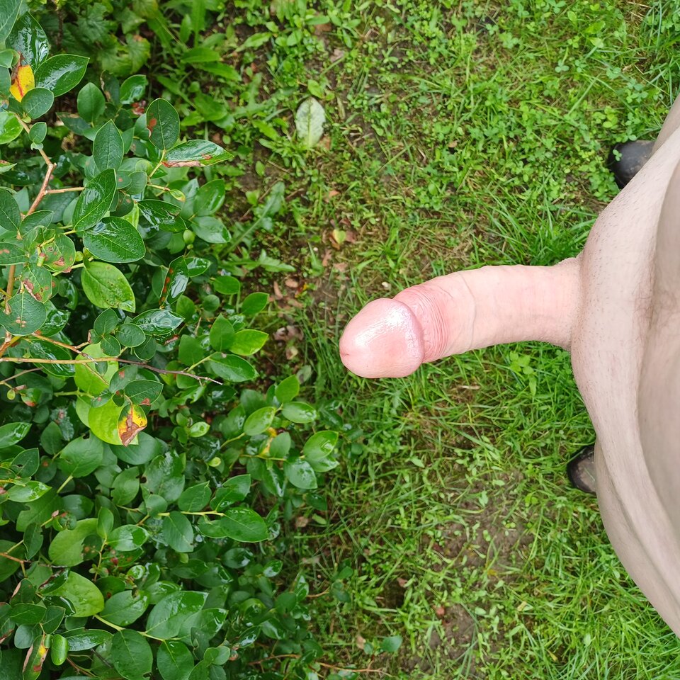 1000004004.jpg - hej34