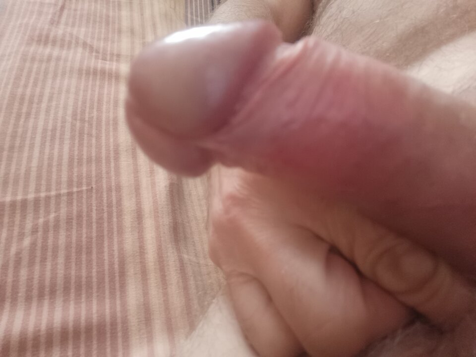 17544871213485088875444364939725.jpg - ardas1