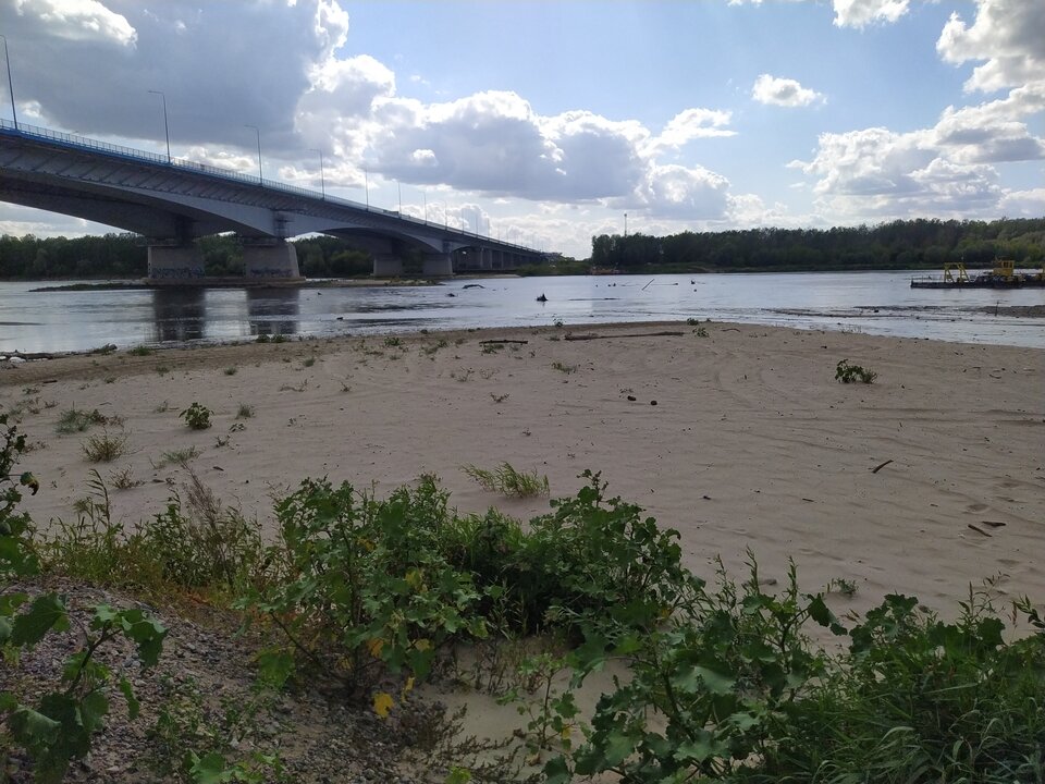 IMG_20250806_155254.jpg - pioteer