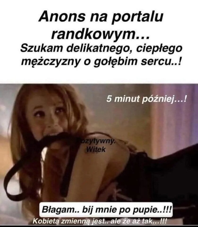 528134857_24450990274533280_2218277096975242071_n.jpg - Stuntmann