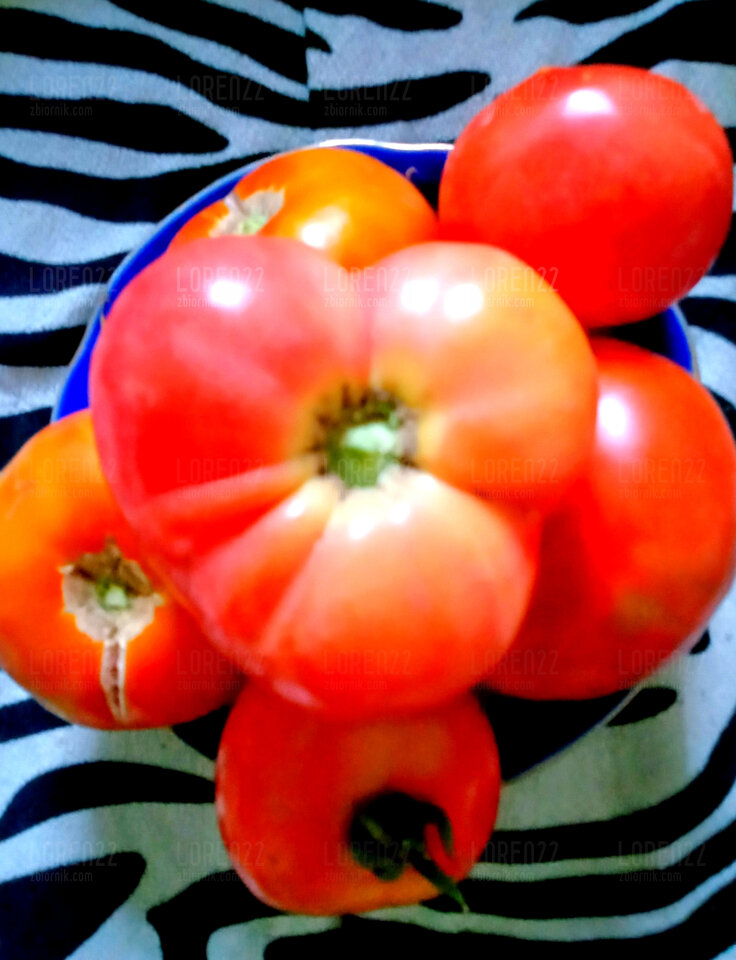 🎁🍅♥️ - Loren22