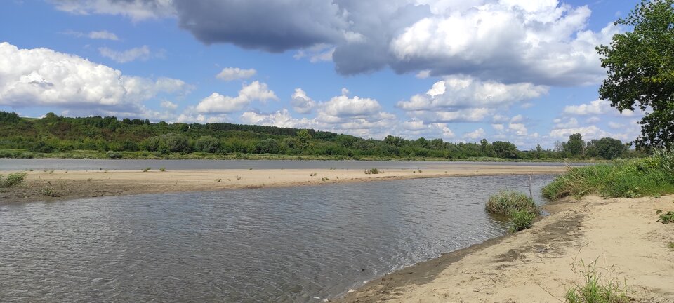 IMG_20250806_141332.jpg - ParaKatharsis