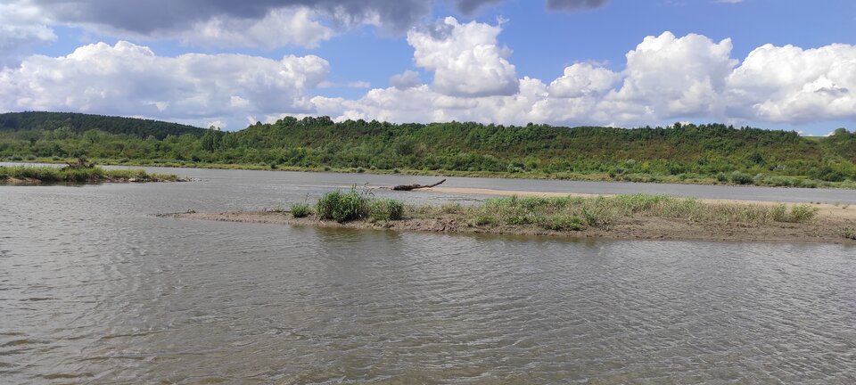 IMG_20250806_141335.jpg - ParaKatharsis