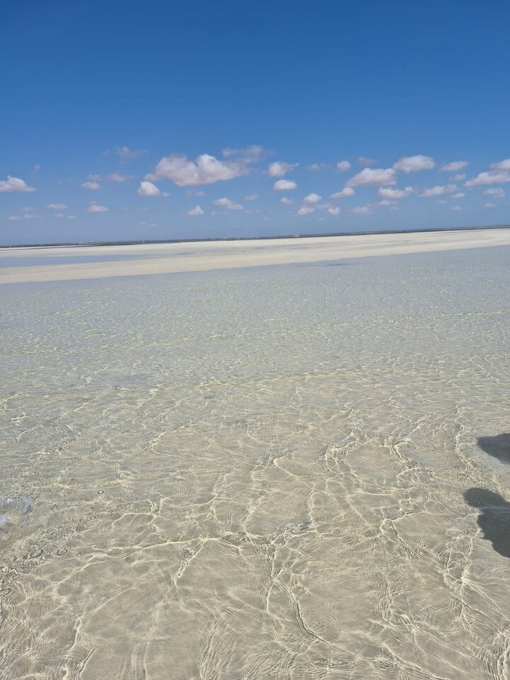 1000049950.jpg - krolttt