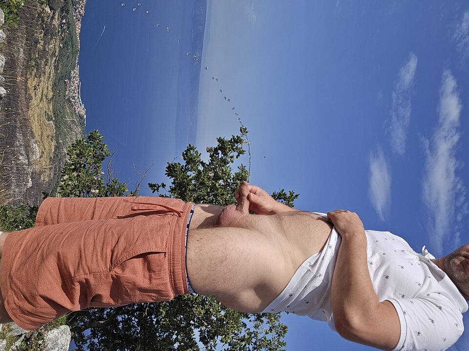 1000239352.jpg - Skalar33