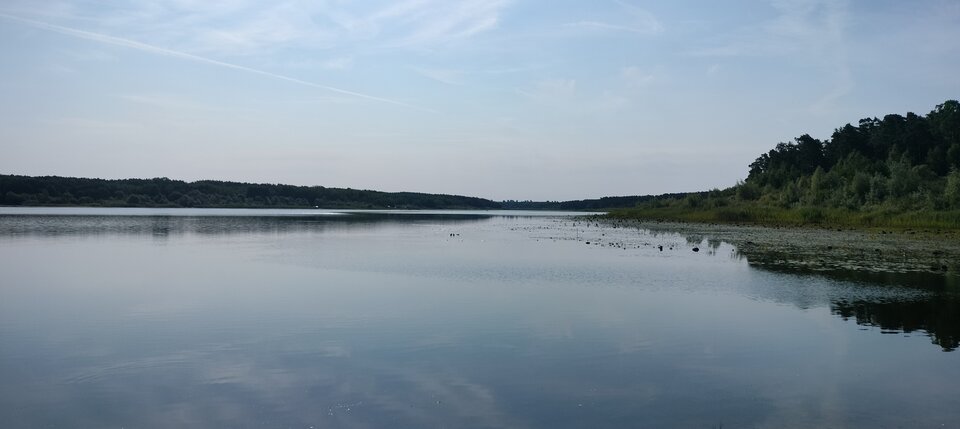 1000010157.jpg - TransKitty