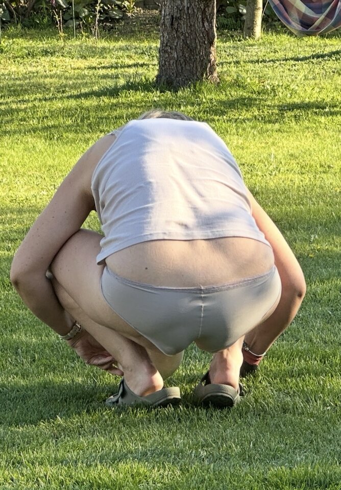 IMG_0521.jpeg - Parabarabar