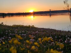 IMG-20250702-WA0014.jpg