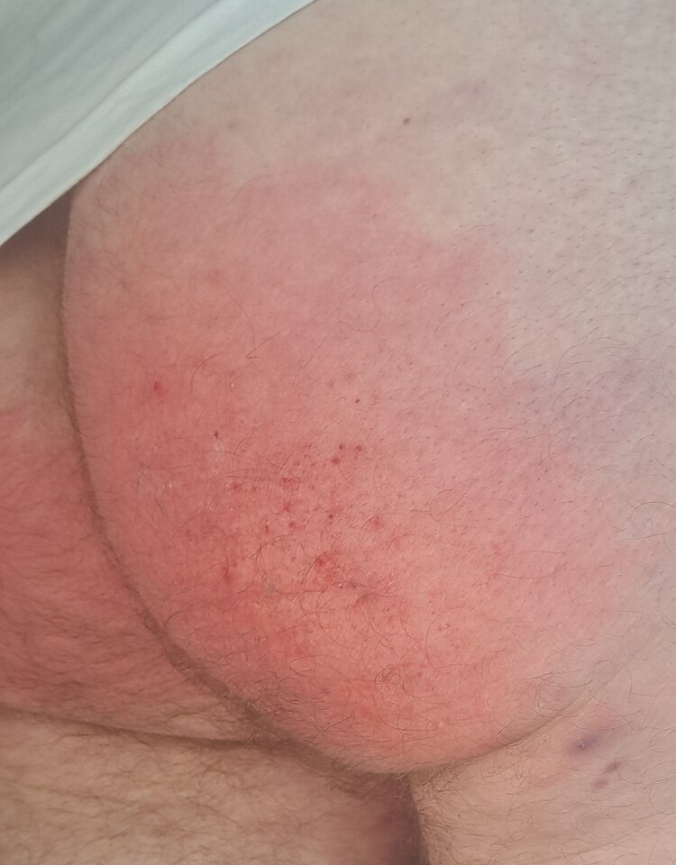 1000033110.jpg - Spanzib