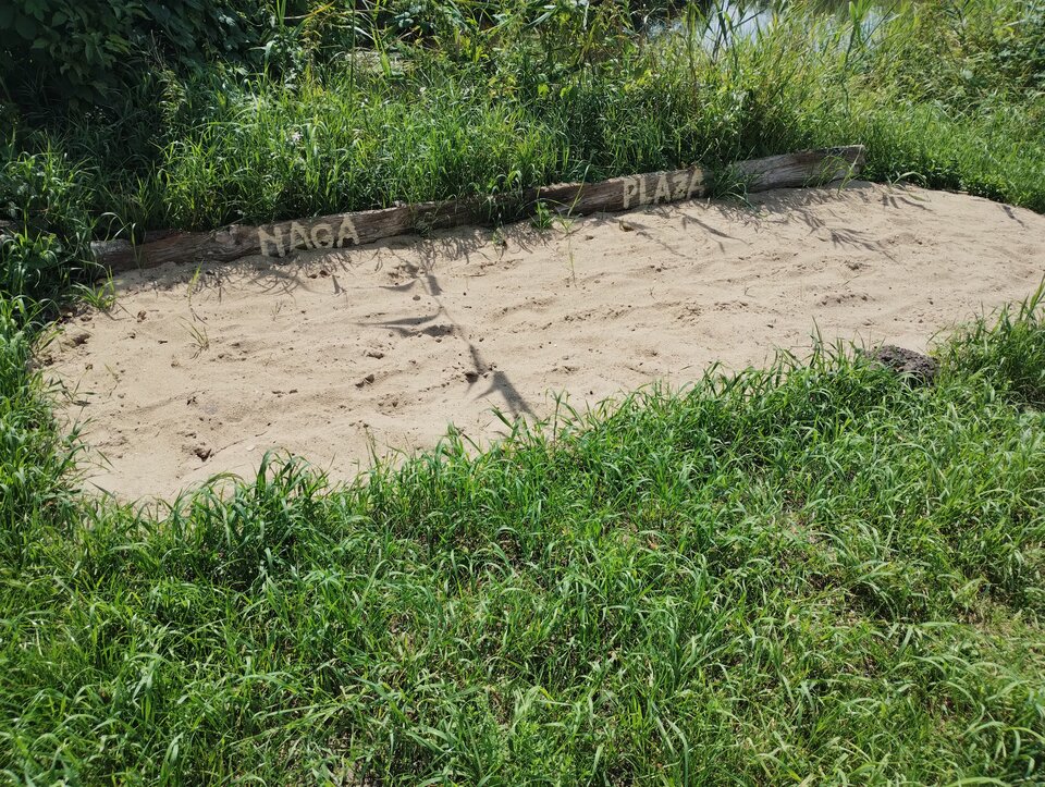 IMG_20250807_114219351.jpg - 8990Parka