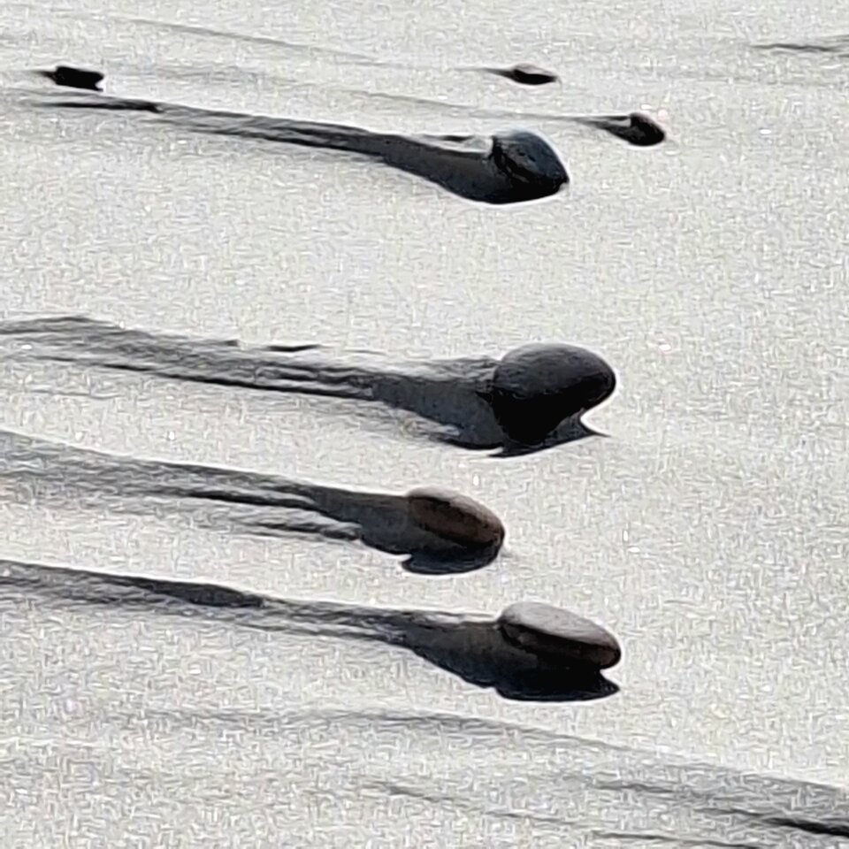 1000028364.jpg - Argument73