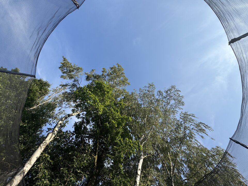 IMG_6407.jpeg - MattVegass