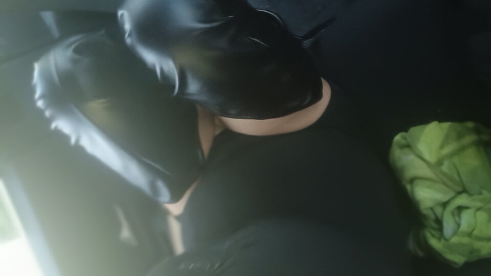 IMG_20250410_071654855_PORTRAIT.jpg - paulstarkface