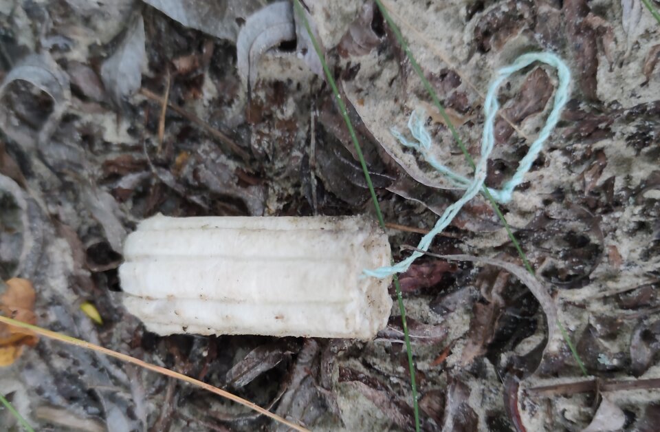 IMG11940.jpg - leofis69